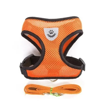 Harnais pour chien et chat avec laisse en plomb, gilet réglable en maille de Polyester, harnais respirant,