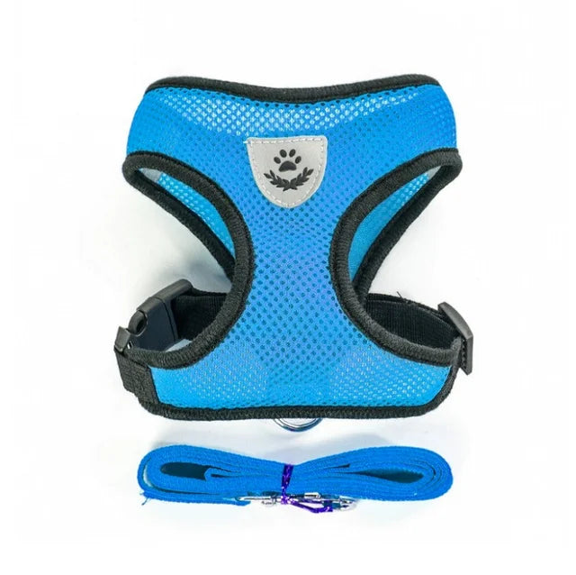 Harnais pour chien et chat avec laisse en plomb, gilet réglable en maille de Polyester, harnais respirant,