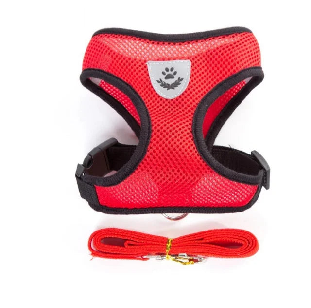 Harnais pour chien et chat avec laisse en plomb, gilet réglable en maille de Polyester, harnais respirant,