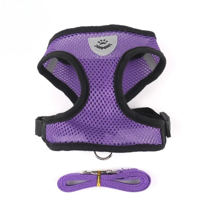 Harnais pour chien et chat avec laisse en plomb, gilet réglable en maille de Polyester, harnais respirant,