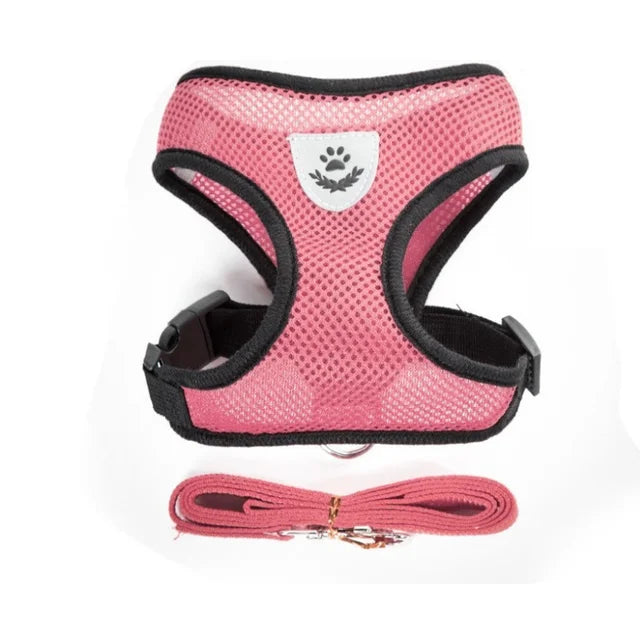 Harnais pour chien et chat avec laisse en plomb, gilet réglable en maille de Polyester, harnais respirant,