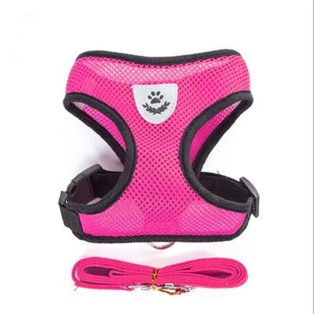 Harnais pour chien et chat avec laisse en plomb, gilet réglable en maille de Polyester, harnais respirant,