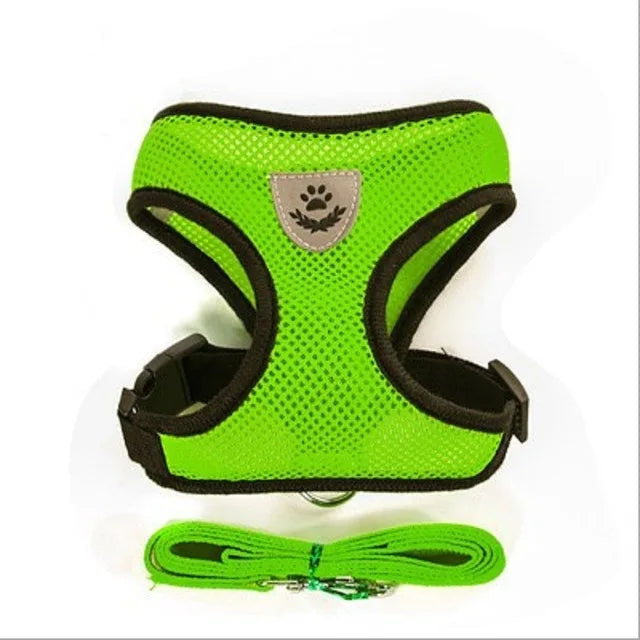 Harnais pour chien et chat avec laisse en plomb, gilet réglable en maille de Polyester, harnais respirant,