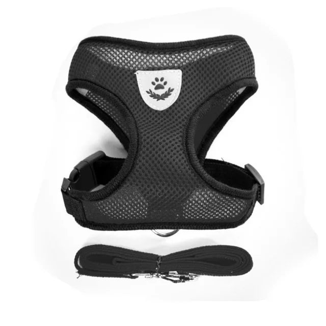 Harnais pour chien et chat avec laisse en plomb, gilet réglable en maille de Polyester, harnais respirant,