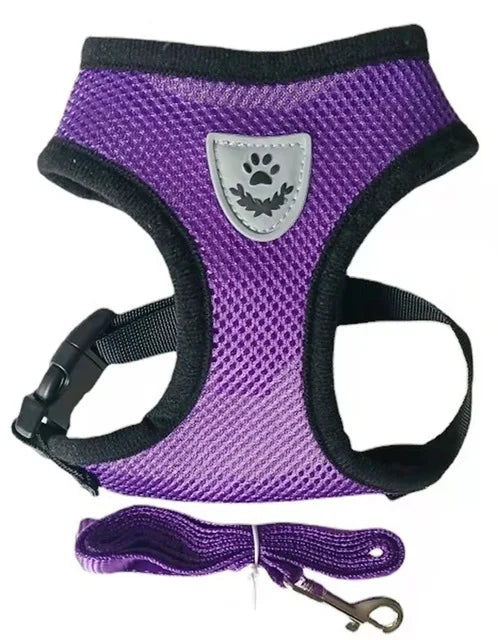 Harnais pour chien et chat avec laisse en plomb, gilet réglable en maille de Polyester, harnais respirant,