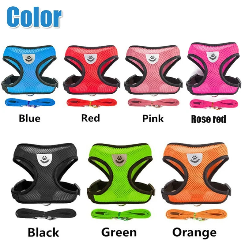 Harnais pour chien et chat avec laisse en plomb, gilet réglable en maille de Polyester, harnais respirant,